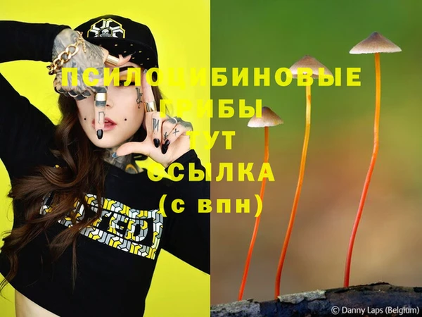 а пвп мука Козловка