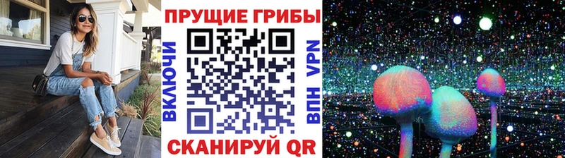 Псилоцибиновые грибы GOLDEN TEACHER  Жуковка 